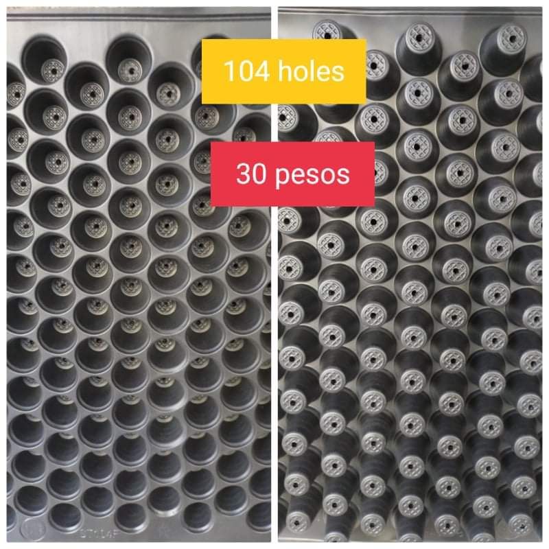 Seedling tray 104 holes (please 5 PC's) | Shopee Philippines