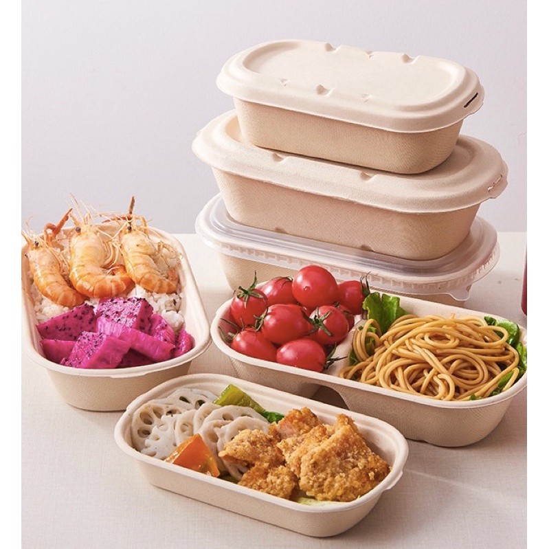 [50pcs] Biodegradable Sugarcane Bagasse Pulp Container Box | Shopee ...