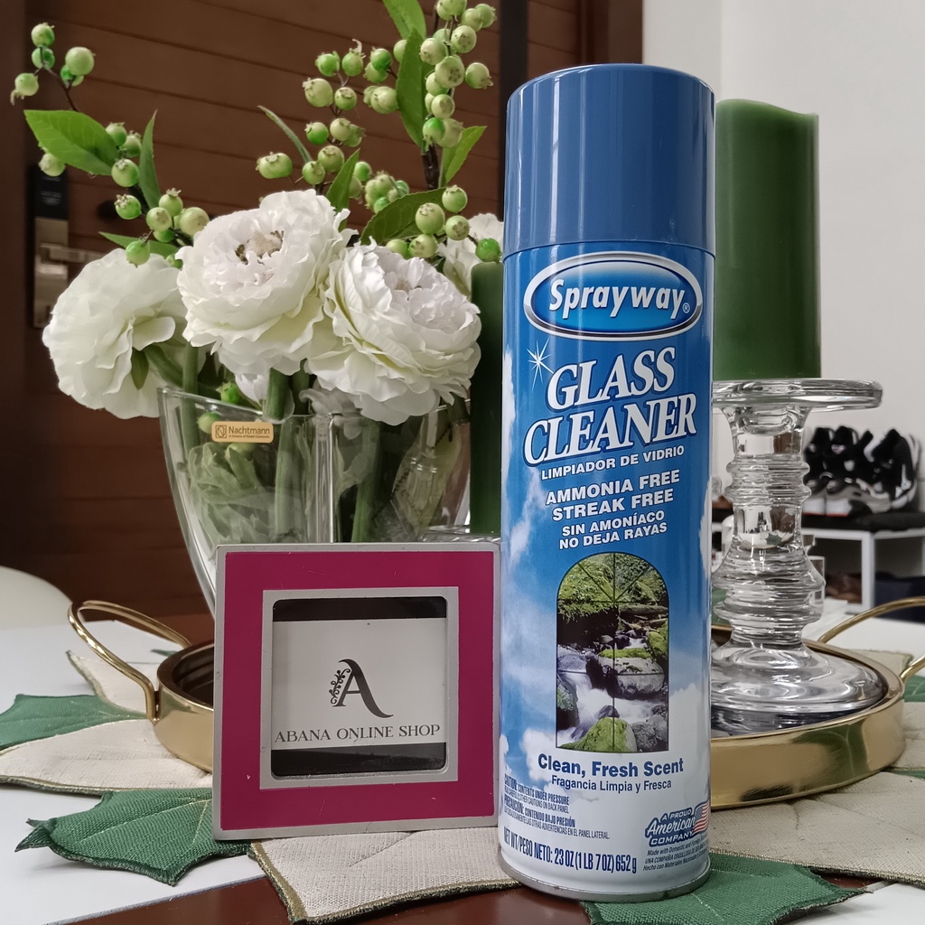 Sprayway Glass Cleaner 652g. Shopee Philippines