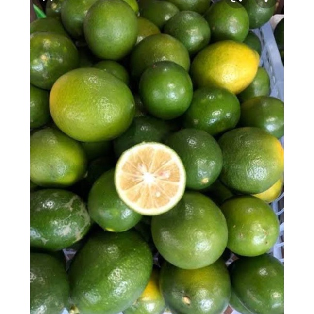 lime lemon green for juice baking essential 500g-1kilo | Shopee Philippines