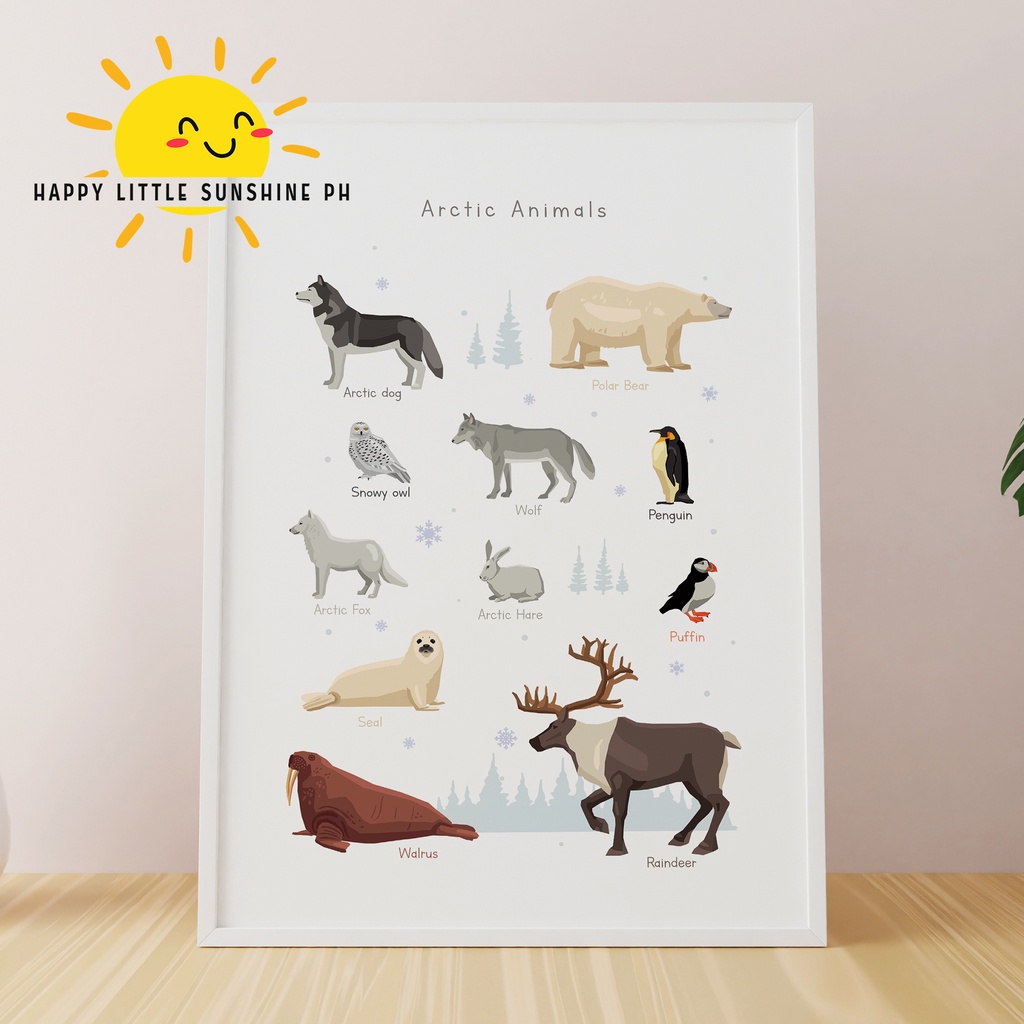 Diff Types of Arctic Animals Educational Chart for Kinder, Grade school ...