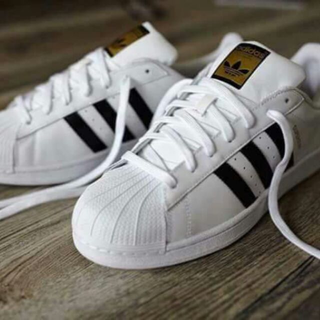 Adidas clearance superstar adulto