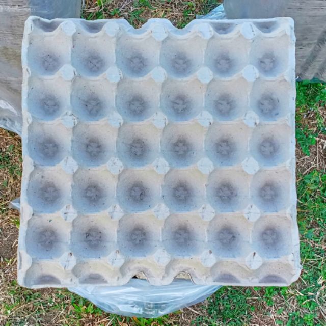 EGG TRAY 50 pcs(BRAND NEW) RETAIL COD AVAILABLE | Shopee Philippines