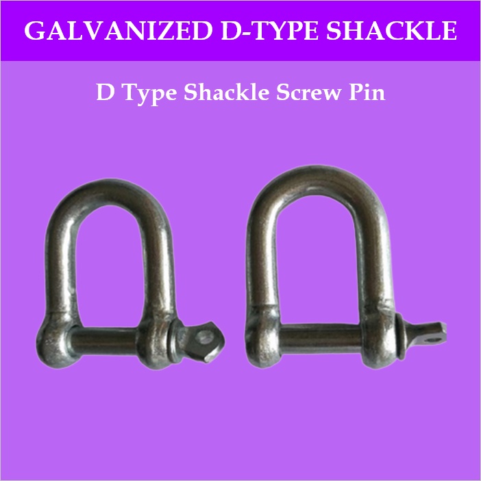 6mm10mm14mm Shackle D type Shackle European Type Galvanized Alloy