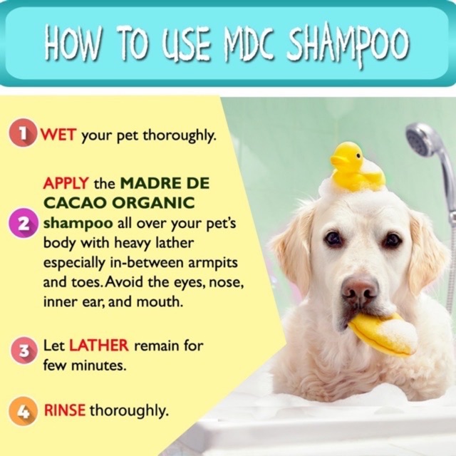Prolific Tails Madre de Cacao Concentrated Pet Shampoo 500ml Shopee Philippines