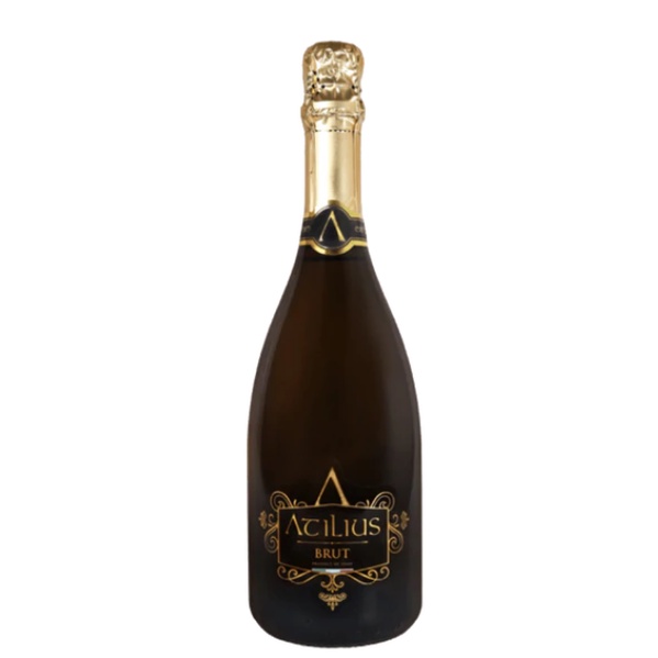 Atilius Brut Spumante 750ml | Shopee Philippines