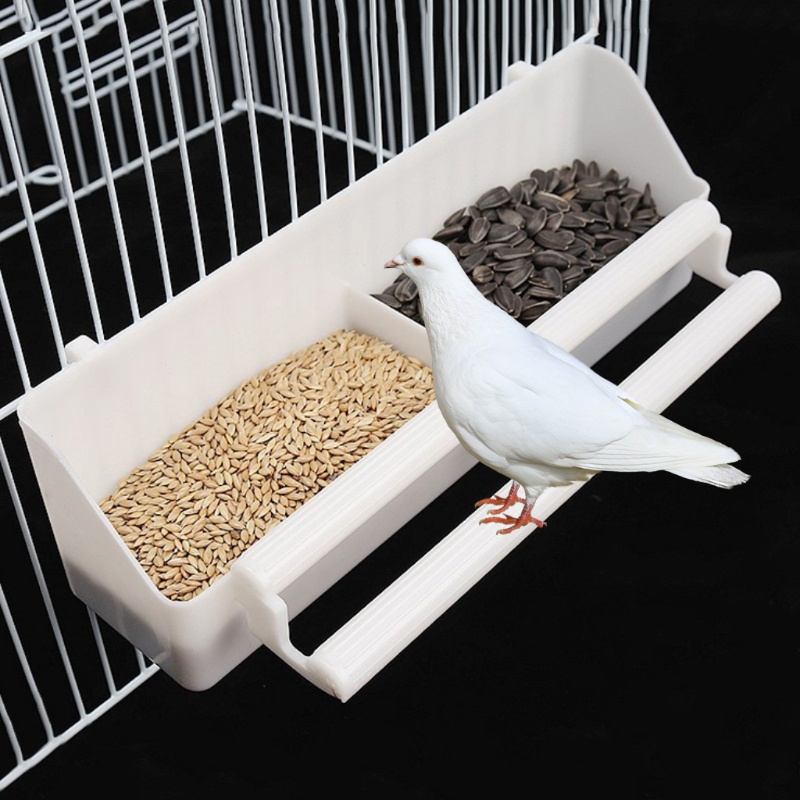 PARROT CONTAINER