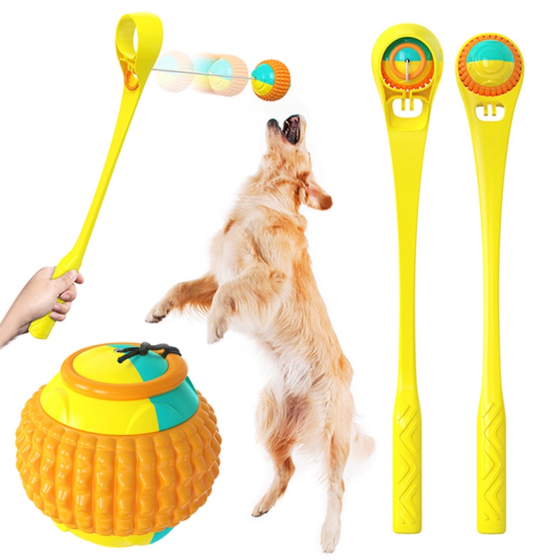 Ball on a stick deals for dogs