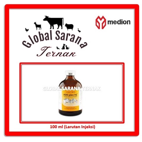 ADE-PLEX Inj. 100 MedionML (Treats Multivitamin Deficiency) | Shopee ...