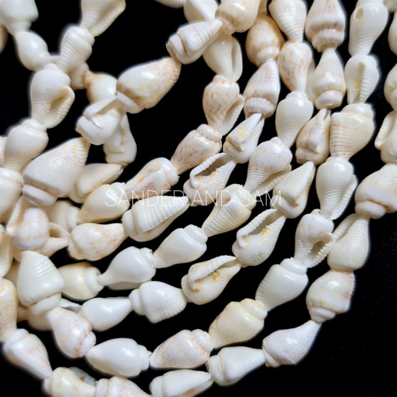 Nassa Dove Shell For DIY Charms Ornaments Beads Accessories | Shopee ...