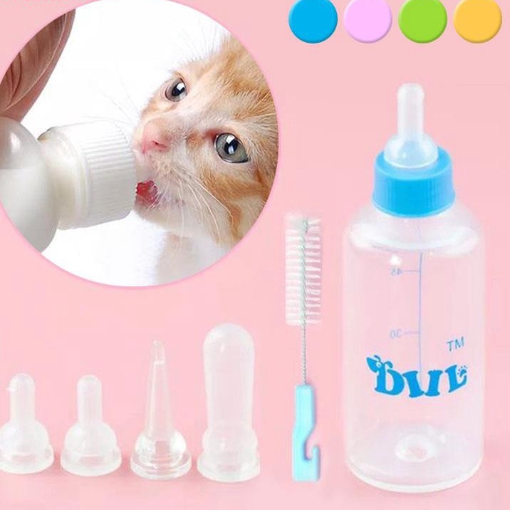 Kitten Hand Feeding Baby Rabbits 4+ Thousand Kid Feed Rabbit