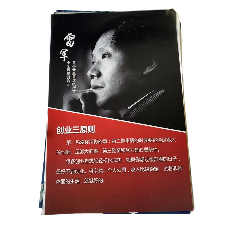 Xiaomi Lei Jun / Zhou Hongyi IT Celebrity Entrepreneur Poster Business