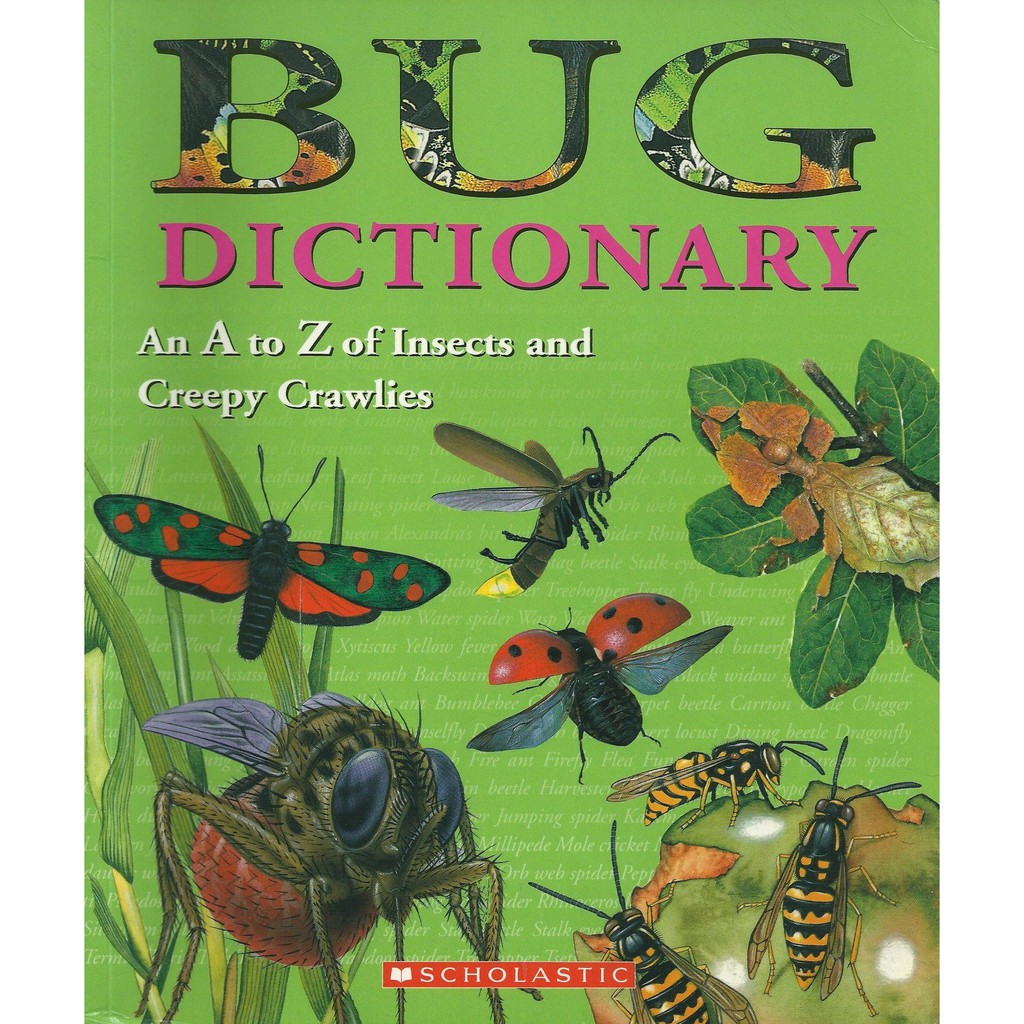 Bugs Dictionary *Children's Insect Dictionary* | Shopee Philippines