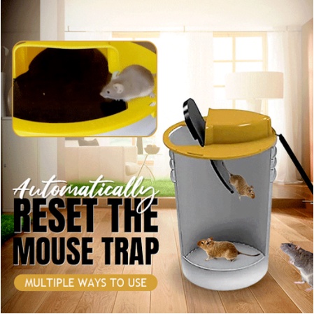 Shop mouse trap for big rats for Sale on Shopee Philippines