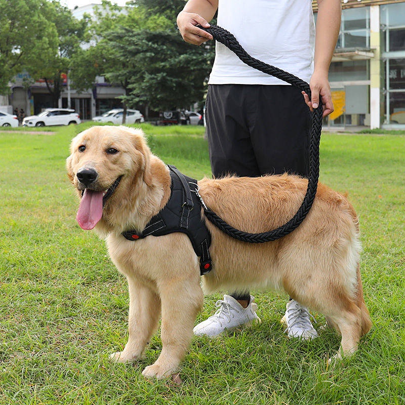 Dog Walking Hand Holding Rope Vest Style Adjustable Chest Back Large Medium and Small Dogs Dog Leash Golden Retriever Labrador Pet Supplies Swn6 Shopee Philippines