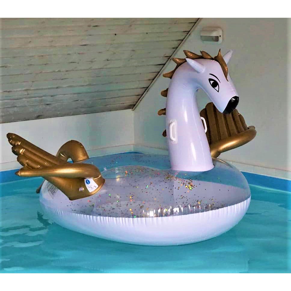 Lidl Crivit Inflatable Pegasus Float Shopee Philippines