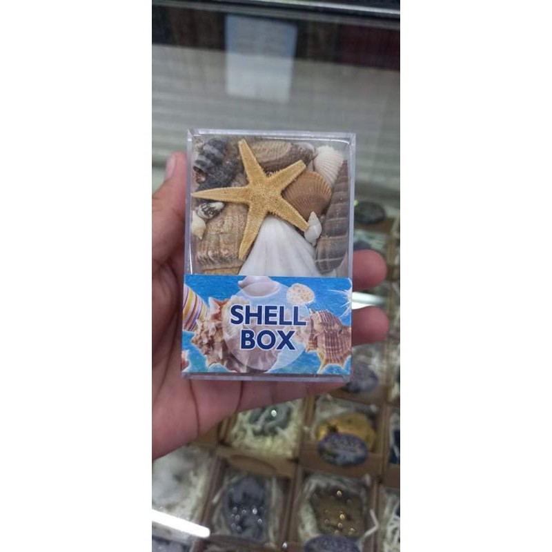 box shell #sea shell | Shopee Philippines