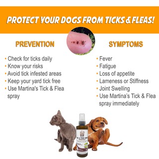 Martina's Tick and Flea Spray 2 x 150ML Anti Tick (Garapata) Flea ...