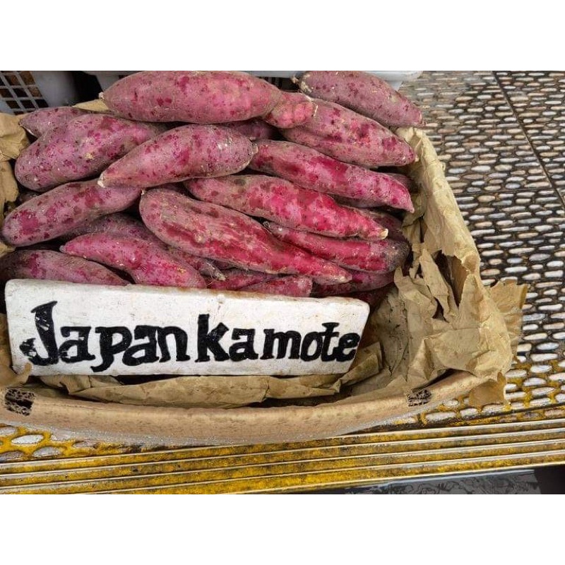 Japanese Sweet Potato yellow inside 1 kg Shopee Philippines