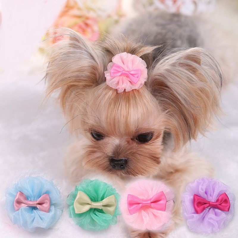 Fancy Bow Bouquet Pet Dog Hair Ribbon Clip Shopee Philippines