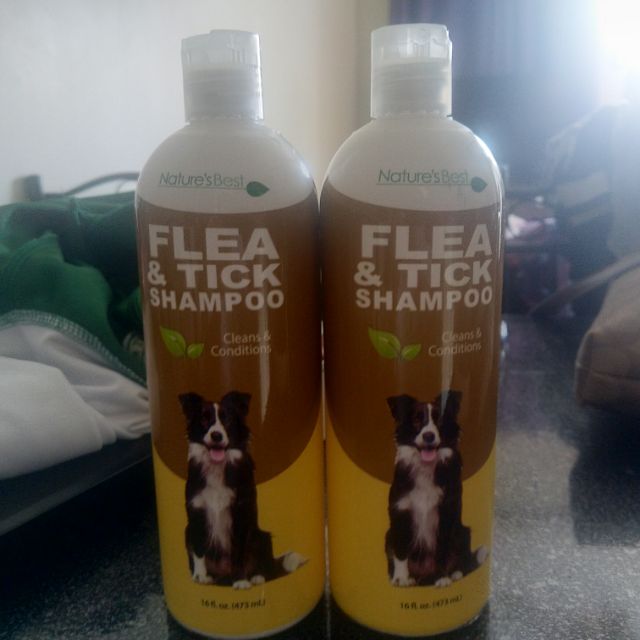 Nature's best flea outlet and tick shampoo