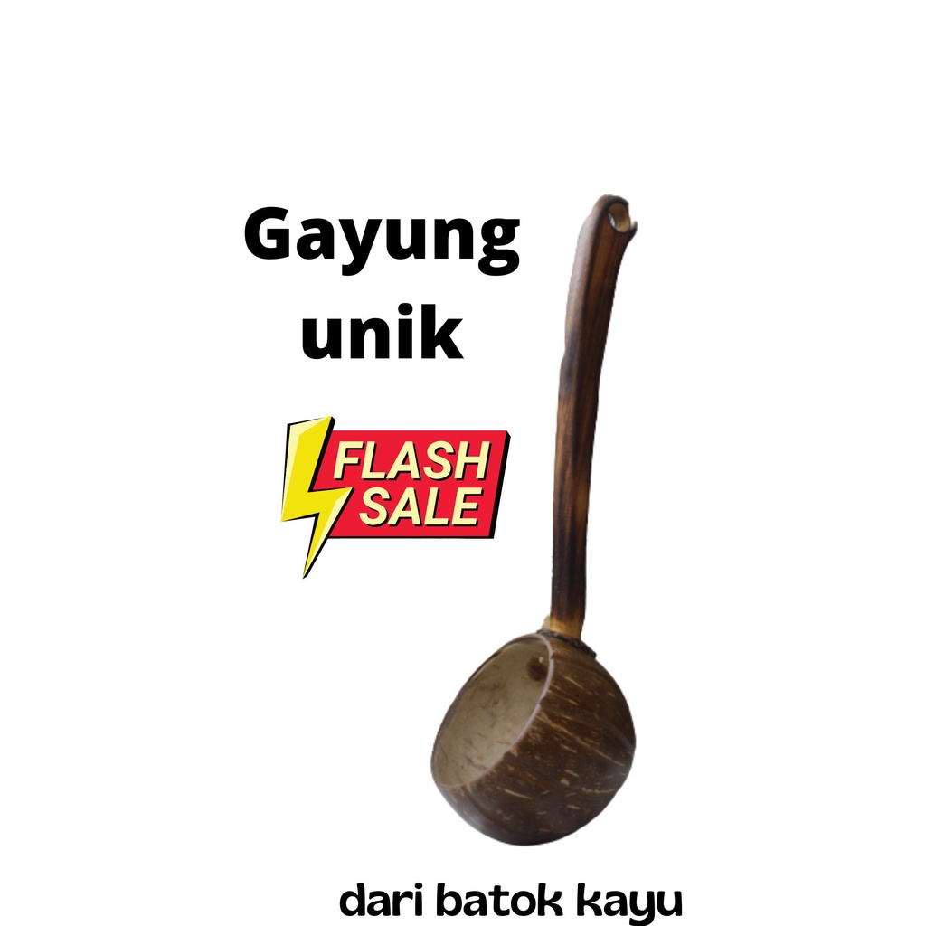 Unique Dipper Shell Dipper Shell Dipper Coconut Shell Bathing | Shopee ...