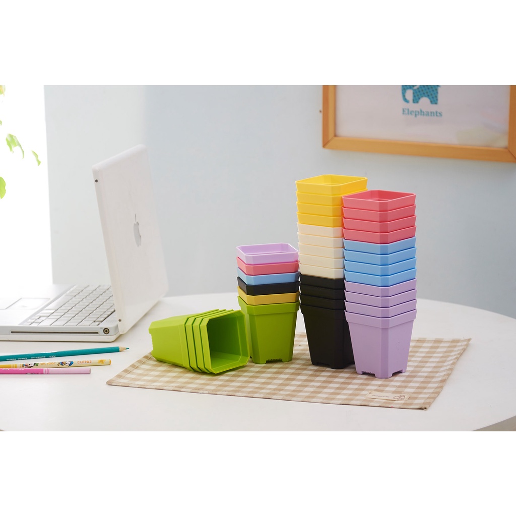 Mini Plastic Square pots for Carnivorous plants, Cactus and Succulents