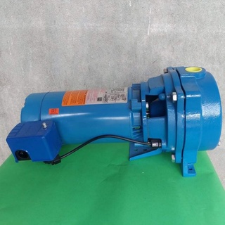 GOULDS WATER PUMP 1HP SHALLOW TYPE J10+ | Shopee Philippines