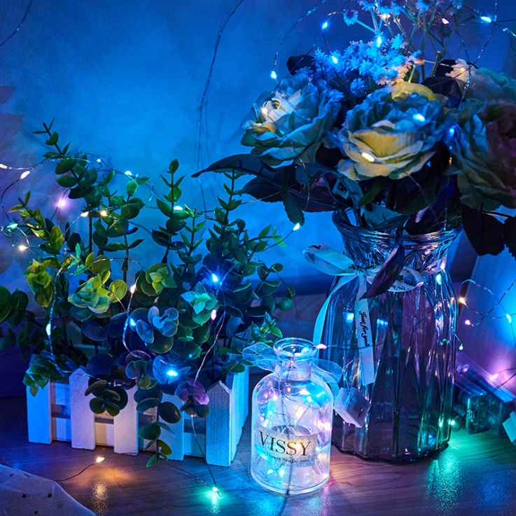 3M LED Lights Copper Wire Pretty Decorative String Light (No Battery ...