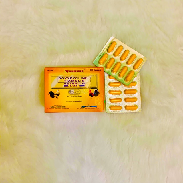 PETS MEDICATION Vetracin gold Antibiotic (1pc) Shopee Philippines