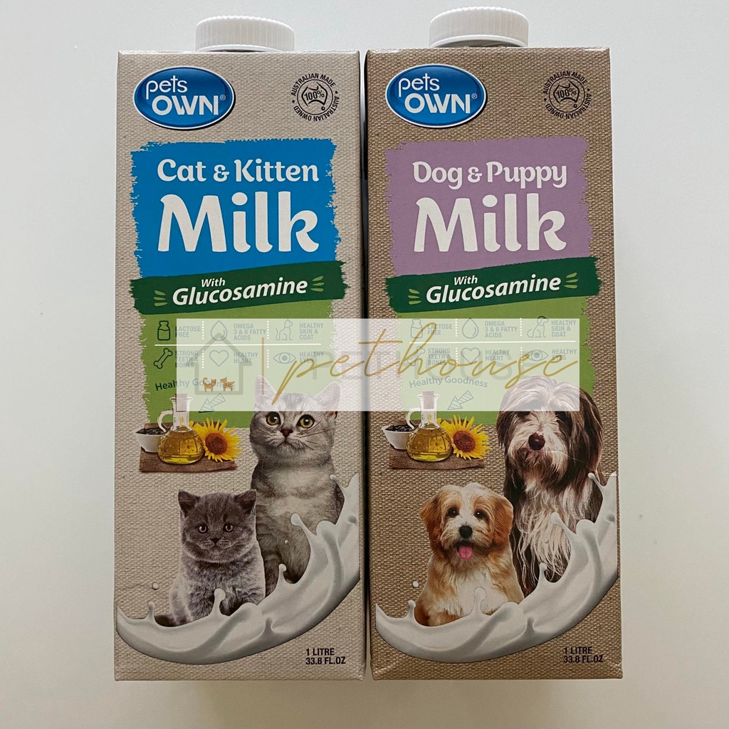 Cat is to milk shop as dog is to