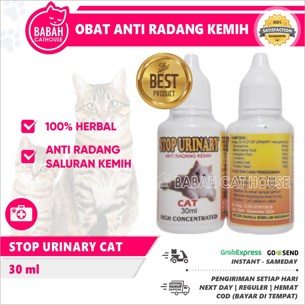 Stop Urine CAT Medicine CAT Medicine Inflammation Of URINARY Tract