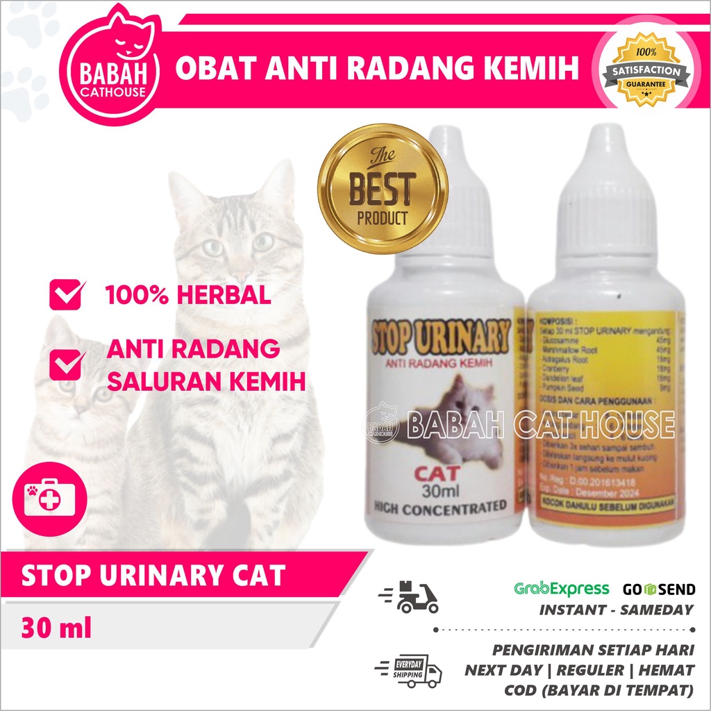 how-to-prevent-urinary-tract-infections-in-cats-9-steps