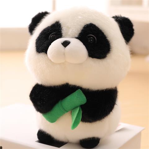 Panda teddy best sale bear hamster