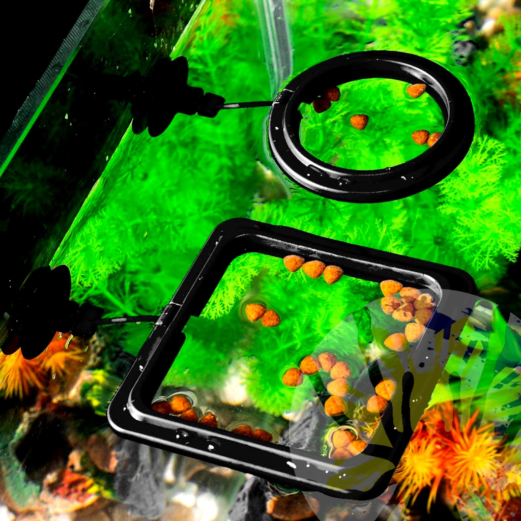 Aquarium Floating Feeding Ring (Black) | Shopee Philippines