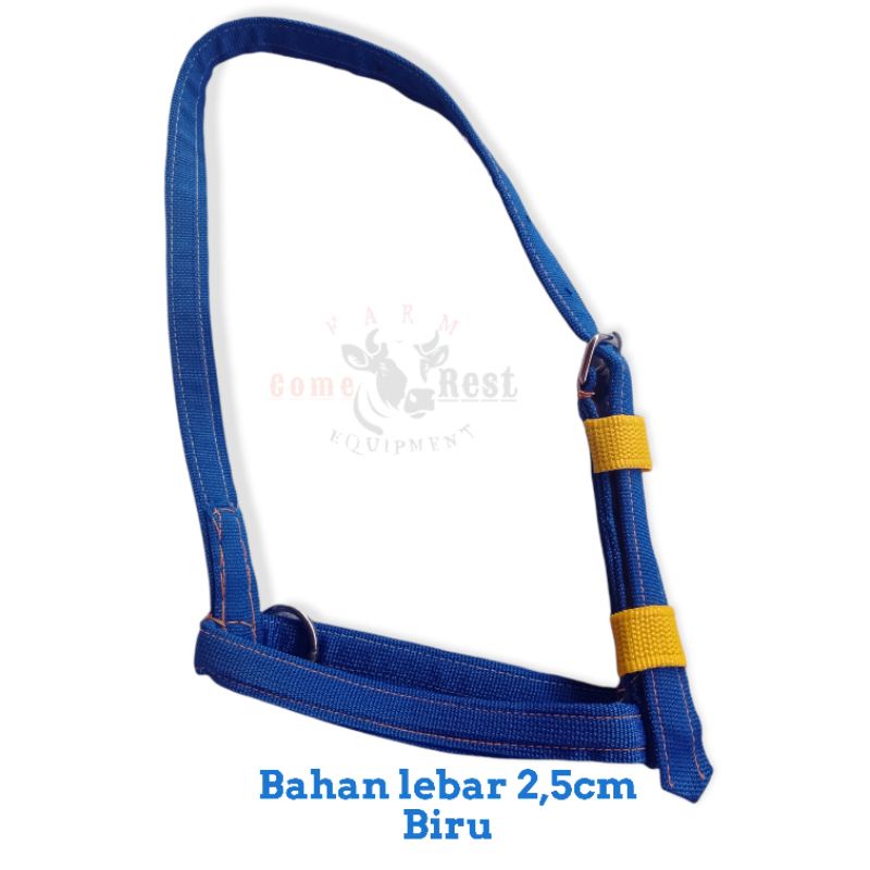 Head HALTER Headband BRANGUS BACOK Beef, Horse, Buffalo ORIGINAL(ORI ...