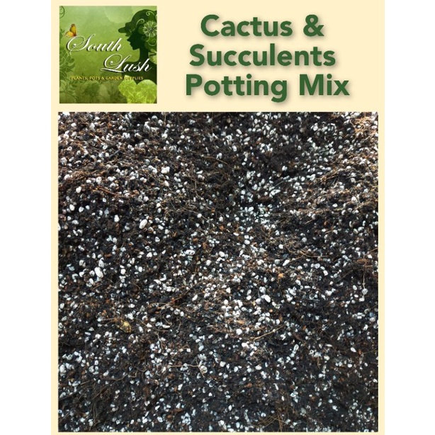 Cactus and Succulents Potting Mix 1 kilo | Shopee Philippines