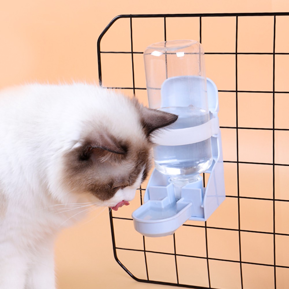 Cat water shop bottle feeder