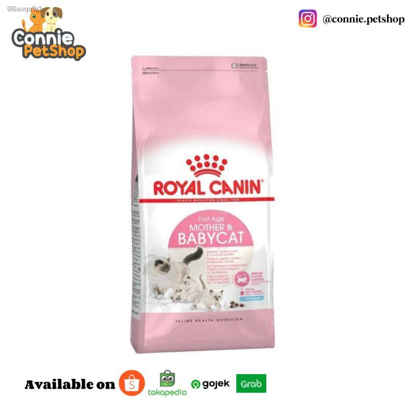 Royal canin pregnant top cat food