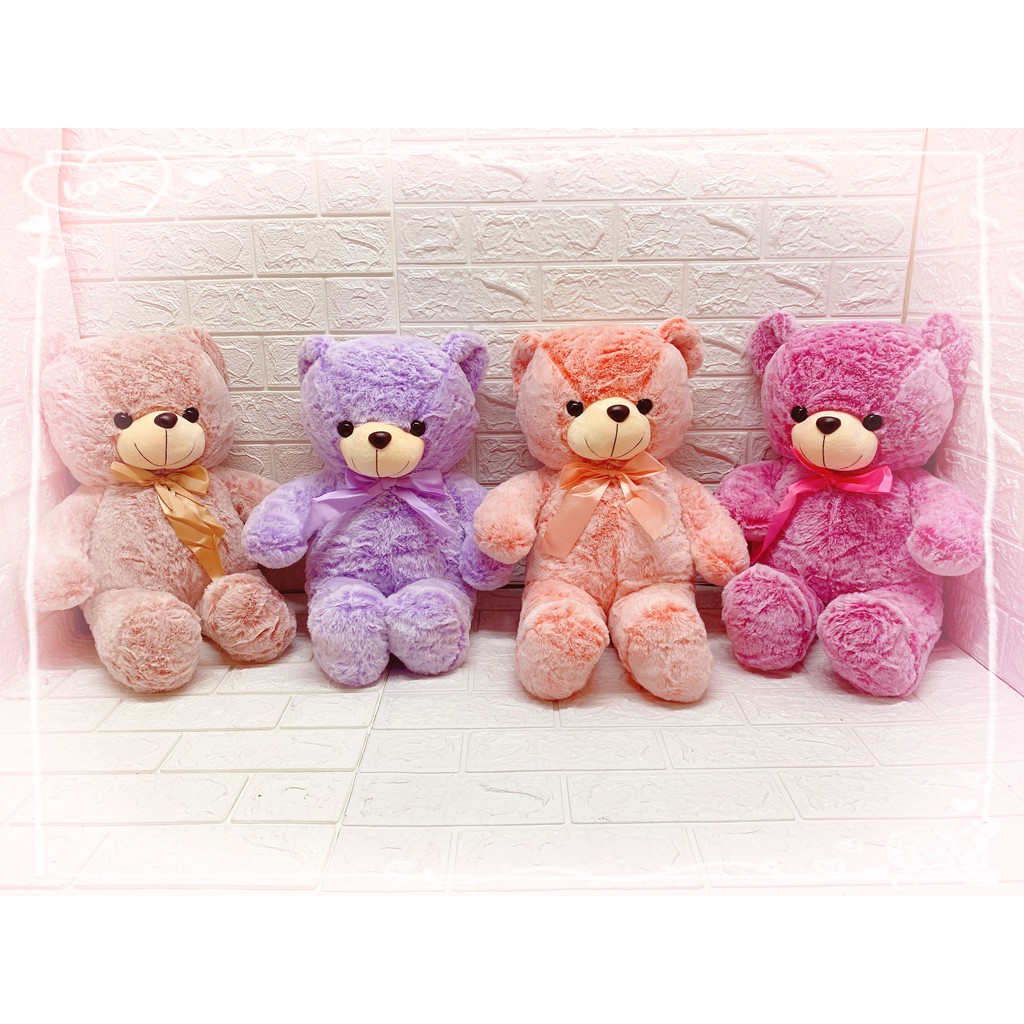 Cute Teddy Bear with Ribbon Stuffed Toys | Shopee Philippines