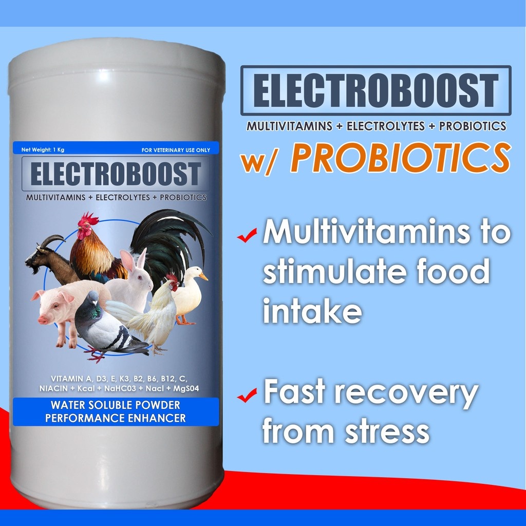200grams Electroboost Multivitamins + Electrolytes + Probiotics Powder