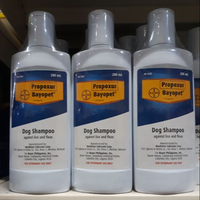 Shampoo for lice for sales dogs