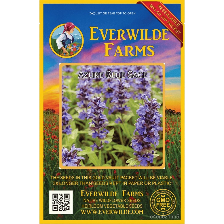 Guaranteed germination rate 150 Azure Blue Sage Wildflower Seeds