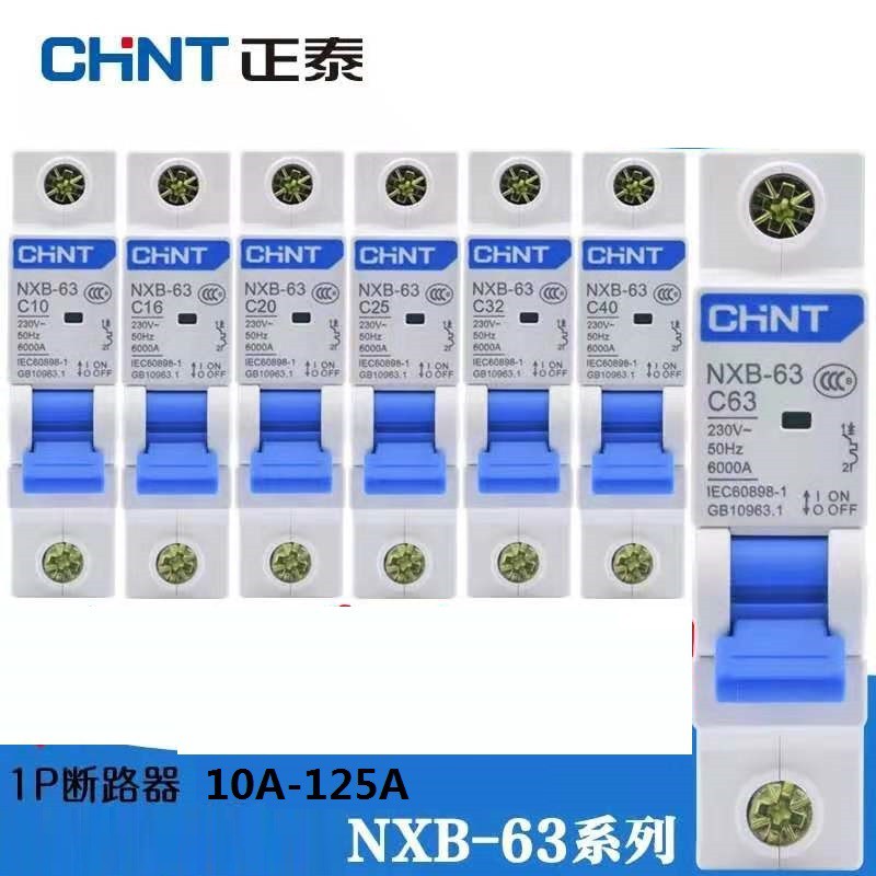 CHINT Electric Circuit BreakerNXB-C63 1P 10A/63A NXB-125-80A/125A ...