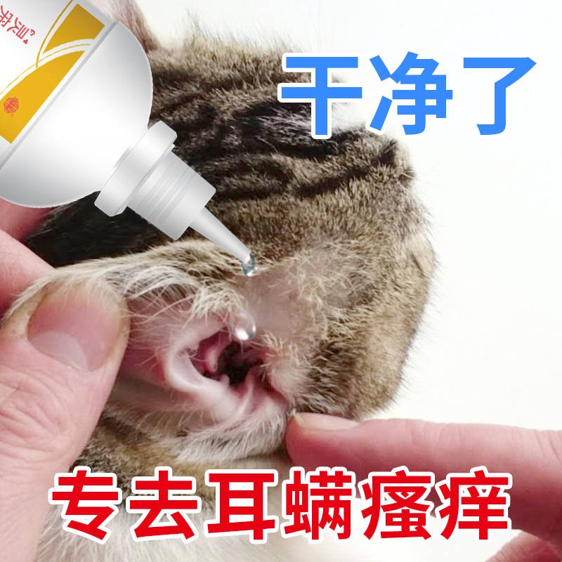 Dog Ear Mite Medicine Ear Drops Cat Ear Wash ThaiDog Ear Mites Ear Drop