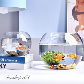 fish bowl - Best Prices and Online Promos - Jan 2024