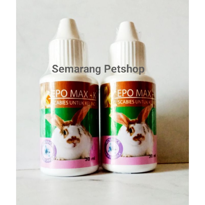 Rabbit Scabies Medicine Rabbit Flea Medicine Rabbit Scabies Medicine
