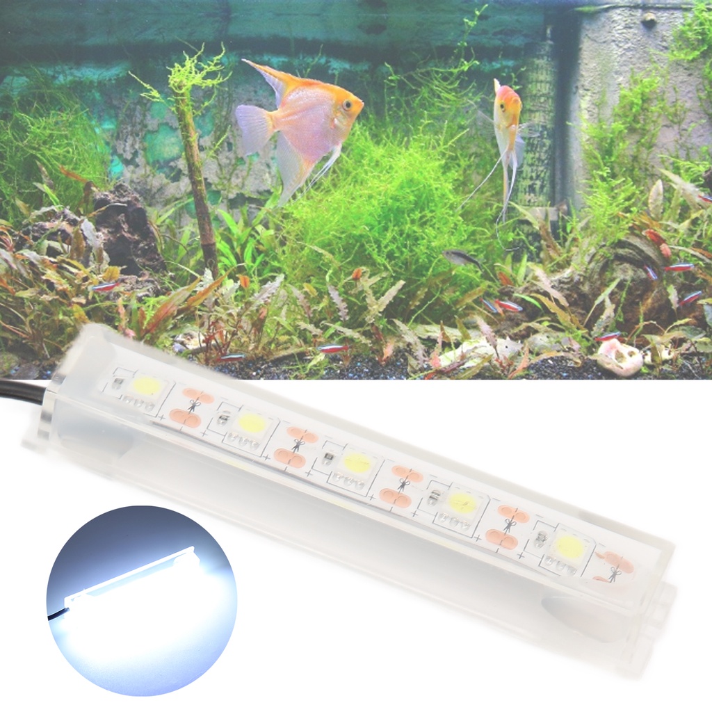 [READY STOCK] Shopp Aquarium LED Light Small USB Betta Fish Tank White ...