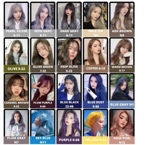QIANJI HAIR DYE / PROFESSIONAL HAIR COLOR W/ OXIDIZER Shopee Philippines