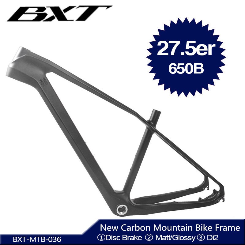 Bxt cheap mtb frame